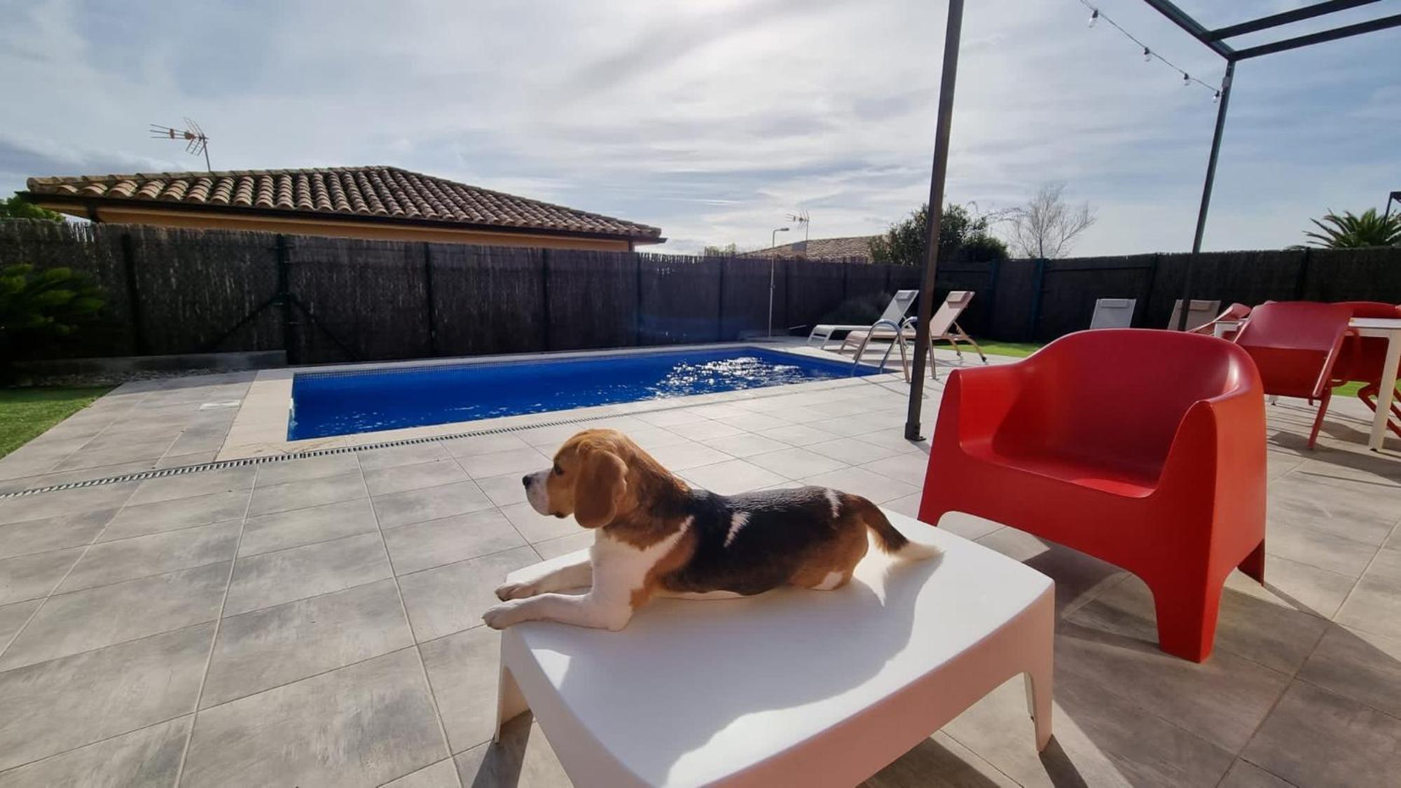 Villas Medes Mar - Plus Costa Brava L'Estartit Bagian luar foto